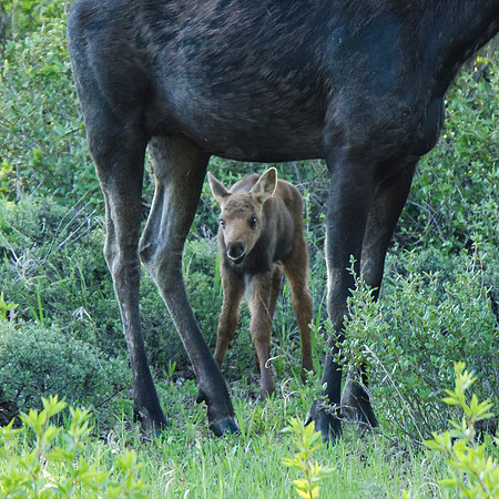 Wow, mom's pretty tall!