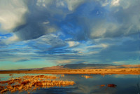 Big sky at Whitewater Draw, southeastern Arizona