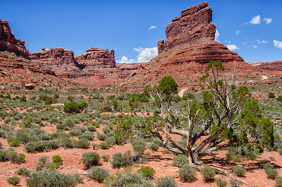 Valley of the Gods in southeatern Utah