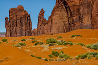 Desertscape in the Monument Valley floor