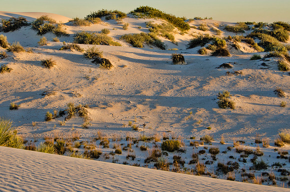 Warm light at sunrise