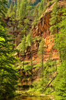 W fork of Oak Creek