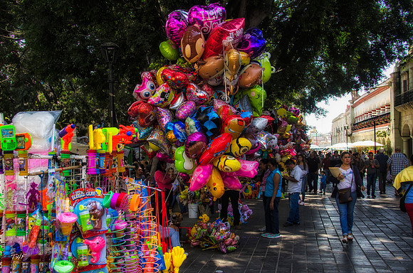 Typical Zocalo colors