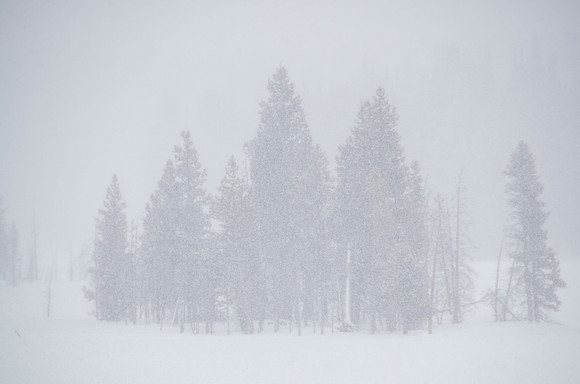 Yellowstone monochrome #1