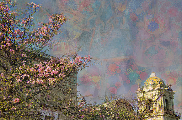 Springtime in Oaxaca