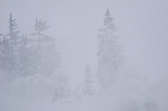 Yellowstone monochrome #2