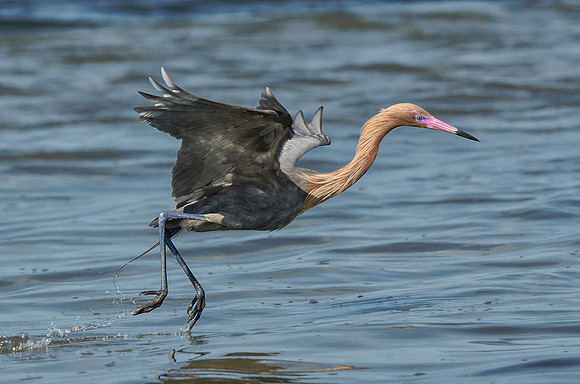 Dancing on the water