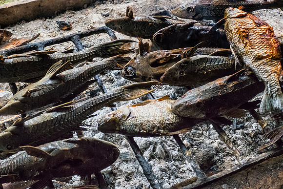 Catfish on the grill