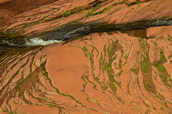 Slide in W fork of Oak Creek