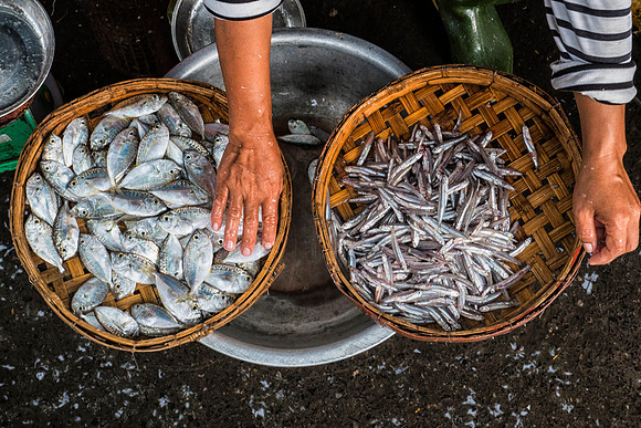 Fish in the Hoi An market