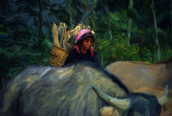 Woman carrying firewood