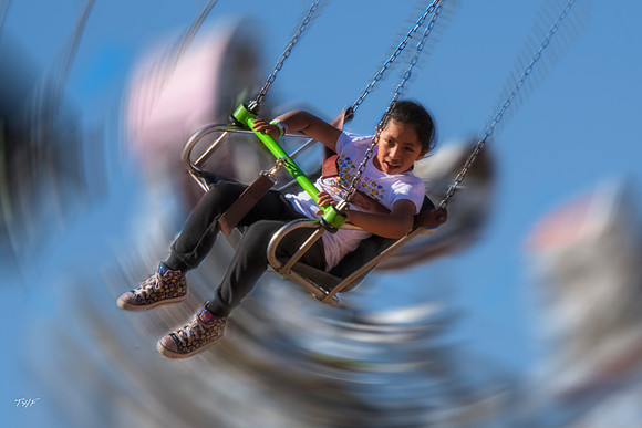 Whirlagig