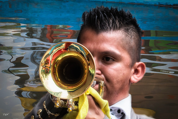 Xochimilco trumpeter