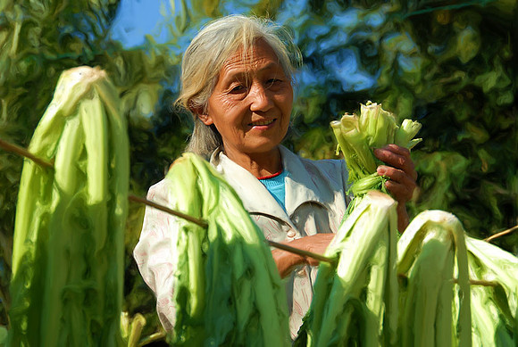 Drying bok choy in a rural village, Yunnan Province
