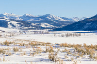 Yellowstone NP Landscapes