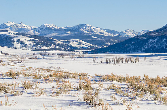 Lamar Valley, mid-afternoon