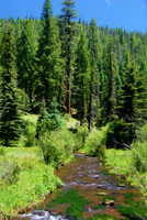 Little Colorado at Greer, AZ