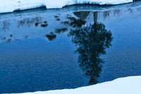 Reflections in Soda Butte Creek
