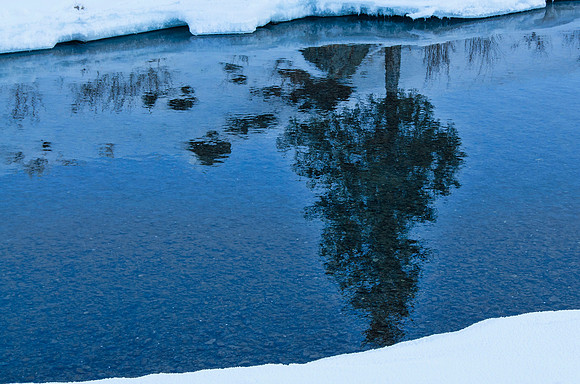 Reflections in Soda Butte Creek